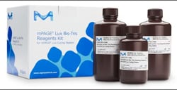 MilliporeSigma mPAGE™ Lux Bis-Tris Reagent Kit